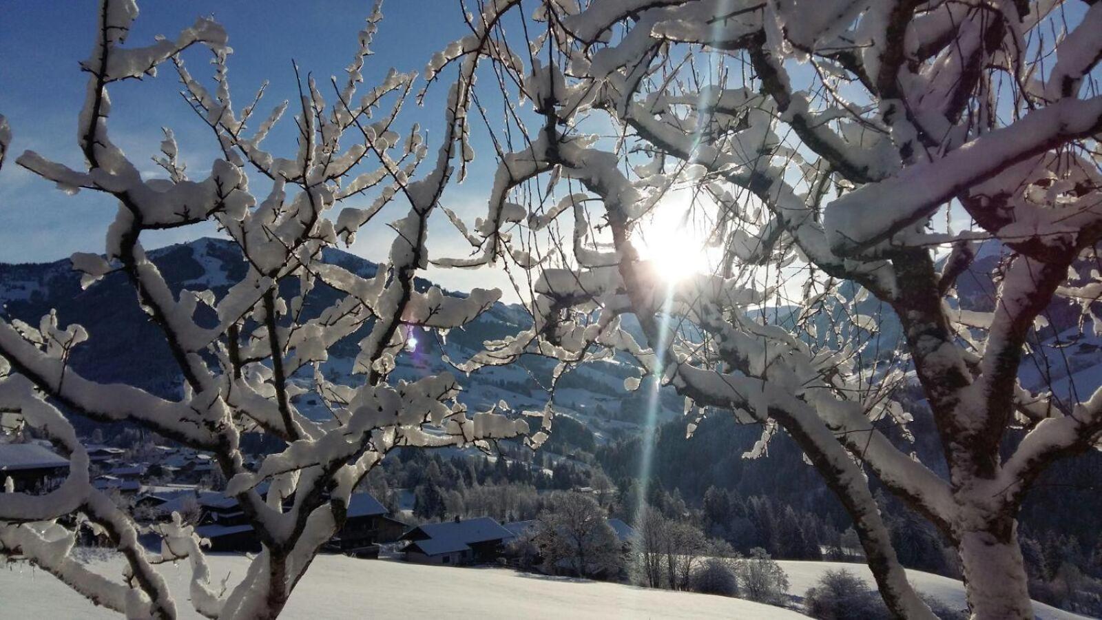 Aussermoos-Zuhaus Alpbach Buitenkant foto